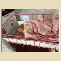 2013-12-10-11h02m03.jpg